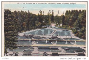 Fish Hatcheries, Bonneville, Columbia River Highway, Oregon, 1924 PU