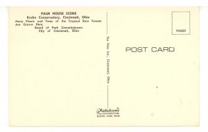 OH - Cincinnati. Krohn Conservatory, Palm House Scene