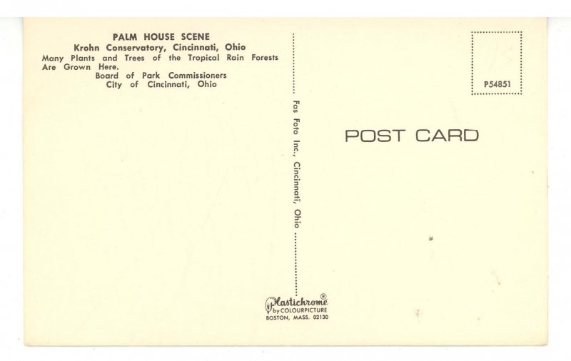 OH - Cincinnati. Krohn Conservatory, Palm House Scene