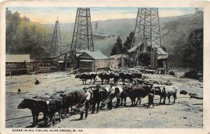 J14/ Blue Creek West Virginia Postcard c1910 Scene Oil Fields Wells Derricks 113