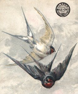 1880s Clark's Mile-End Spool Cotton Hector Giacomelli Art Swallows Birds F190