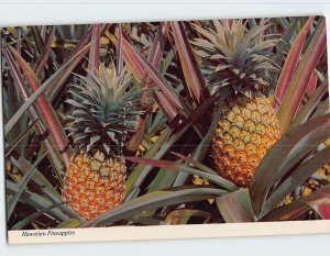 Postcard Hawaiian Pineapples, Hawaii