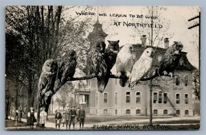 NORTHFIELD MN SCHOOL w/ OWLS ANTIQUE REAL PHOTO POSTCARD RPPC montage collage