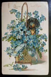 Vintage Victorian Postcard 1907 I Love But Thee - Basket, Weiner Dog & Flowers