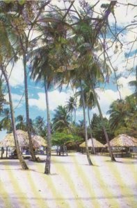 Tobago Pigeon Point Beach Scene