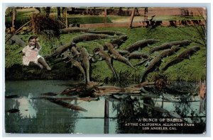 Los Angeles California Postcard Bunch Of Babies California Alligator Farm c1910s