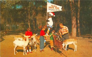Silver Springs Florida 1950s Postcard Santa's South Pole Tommy Bartlett Deer
