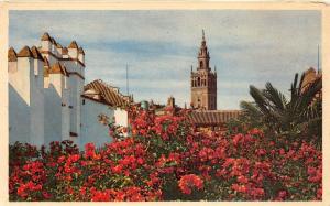 BF34445 jardines del alcazar   reales alcazares sevilla spain front/back scan