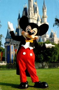 Walt Disney World Mickey Mouse