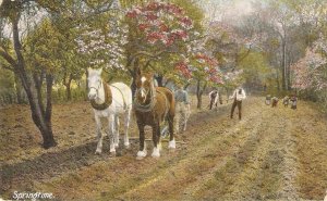 Spring Time. Scene with horsesNice old vintage English PC