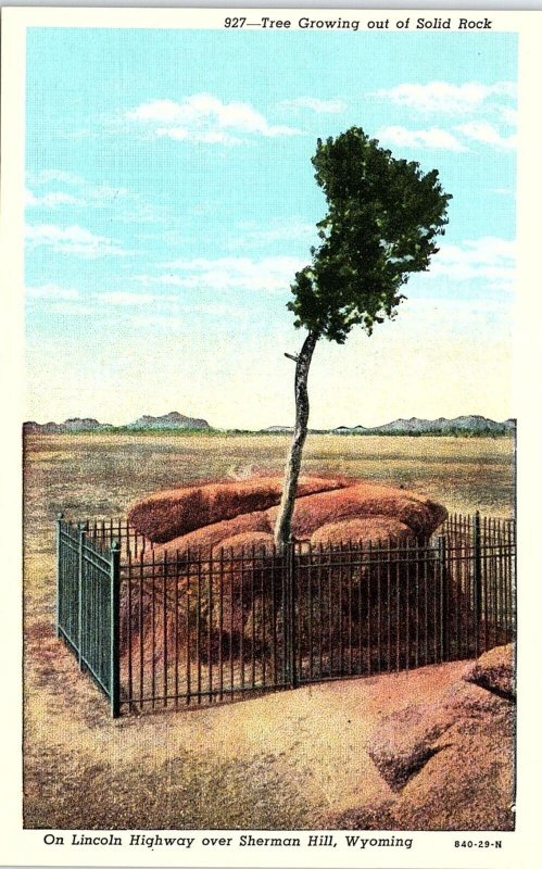 c1920 SHERMAN HILL WYOMING LINCOLN HWY SOLID ROCK GROWING TREE POSTCARD 41-115