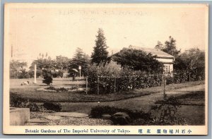 Postcard Tokyo Japan c1910s Botanic Gardens of the Imperial University of Tokyo