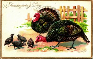 Raphael Tuck Thanksgiving Day Series Turkeys Chicks Embossed 1910s Postcard