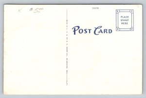 Anti-Aircraft Gun & Crew  US Army      Postcard