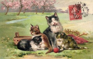 PC CATS, FOUR CATS PLAYING IN A FIELD, Vintage EMBOSSED Postcard (b47051)