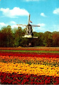 Advertising Direct Holland Bulb Sales Dutch Gardens Lissee Holland 1970