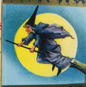 Halloween Postcard Precauctions Witch Broom Black Cats Moon Series 142 Original