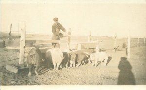 RPPC Postcard C-1910 Farmer rural life feeding pigs Shadow 23-4602