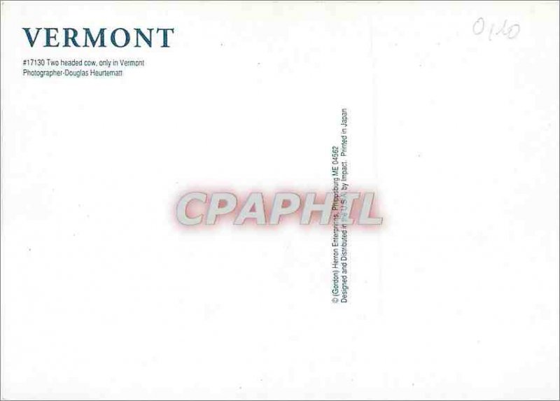 Modern Postcard Vermont