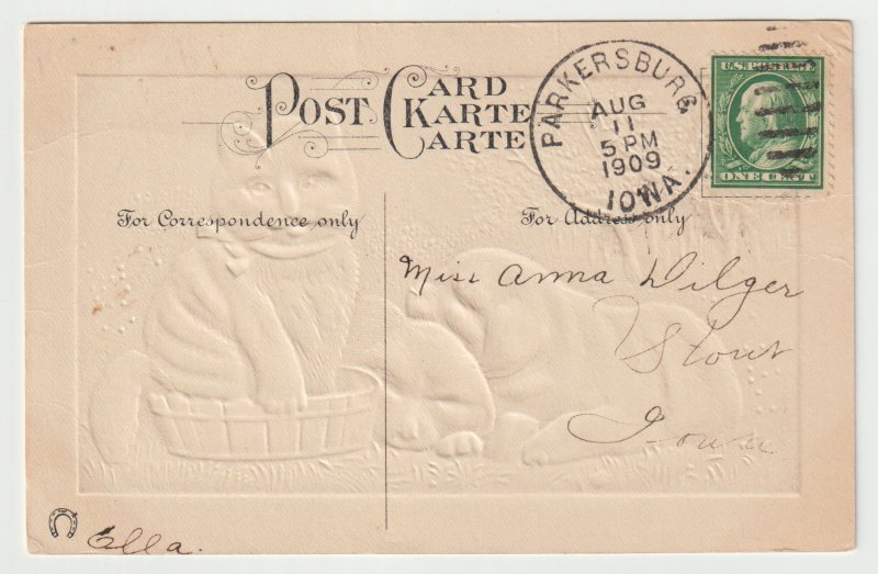 Dogs and Cat - Greetings - Post Marked August 11, 1909