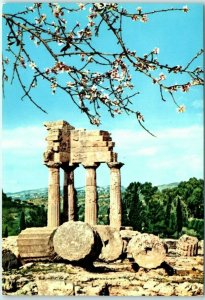 M-21587 Temple of Discures and flowering almond tree Agrigento Italy