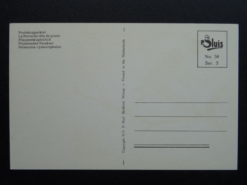 Bird Theme PLUMHEADED PARAKEET c1950s Postcard by P. Sluis Series 5 No.58
