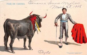 Pase De Tanteo Tarjeta Postal Bullfighting 1906 