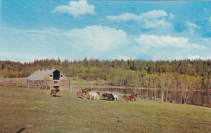 Canada Cariboo Ranch Williams Lake British Columbia Alberta