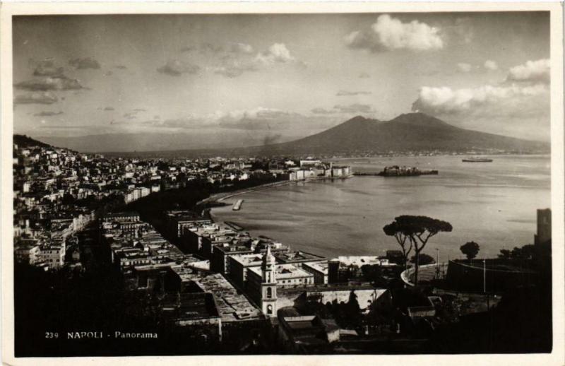 CPA AK NAPOLI Panorama ITALY (525441)