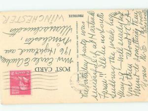 Pre-1980 Close-Up SEAGULL BIRD AC5929