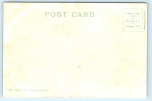 CT Danbury Connecticut Beaver Brook River Postcard