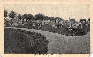 F28/ Reynoldsburg Columbus Ohio Postcard c1910 Cemetery