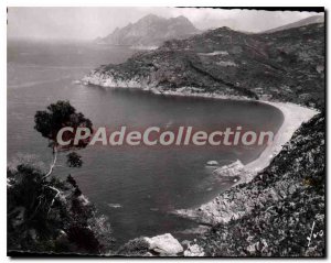 Modern Postcard Corsica Porto Beach From Gulf Of Bussagna