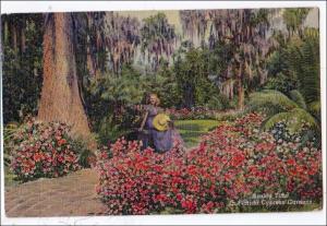 FL - Azalea Time, Cypress Gardens   (crease)