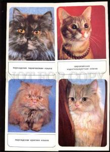 002151 PUSSY CAT Collection of 18 colorful russian postcards