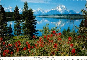 Wyoming Grand Teton National Park Jackson Lake