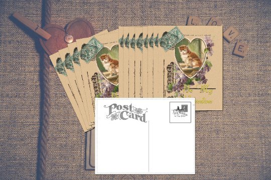 Hand-designed Postcard Set, Kitten in Heart with Lavender Purple Violets