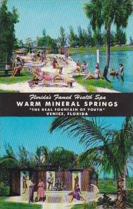 Florida Venice Warm Mineral Springs