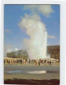 Postcard Old Faithful Geyser, Yellowstone National Park