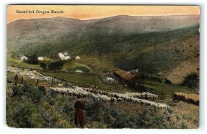 1912 Beautiful Ranch Postcard Sheep Farm Mountain Valley