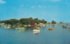 Canada Small Craft At Anchor Off Kew Beach Toronto Ontario