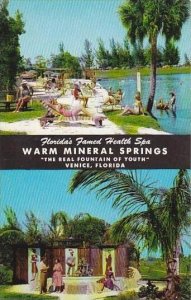 Florida Venice Warm Mineral Springs