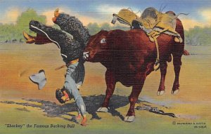 Sharkey  the famous Bucking Bull View Images 