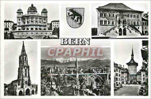 Modern Postcard Bern Bear