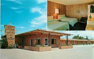 WY, Cody, Wyoming, Park Motel, Eric J. Seich No. 102056