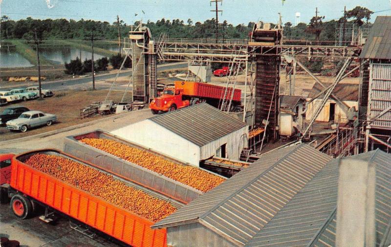 FL, Florida  MINUTE MADE CORPORATION PLANT Trucks~Equipment 1959 Chrome Postcard 