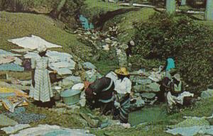 Barbados Native Washers