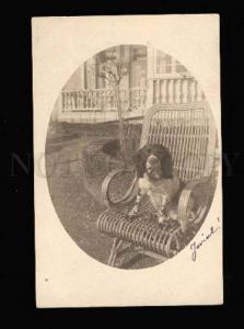 3005368 Nice SPANIEL in wicker armchair Vintage REAL PHOTO