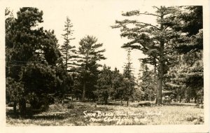 Canada - ON, Amherstburg. Snow Beach, Bois Blanc Island.  *RPPC