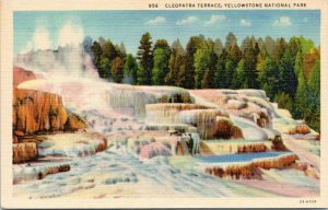 postcard Yellowstone National Park -  Cleopatra Terrace